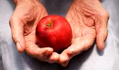 5 diete care modifică sigur vârsta biologică. Ce mănâncă persoanele care îmbătrânesc mai lent, de fapt