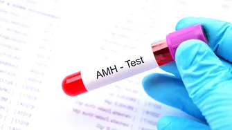 Rezerva ovariană: ce înseamnă și de ce contează pentru fertilitate