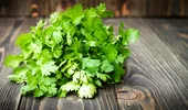 De ce unii oameni urăsc coriandrul: știința din spatele gustului „săpunos”