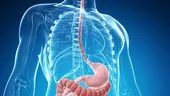 Sistemul digestiv: cum funcţionează şi care sunt bolile frecvente