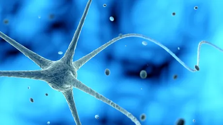 Parazitul invizibil care poate ajunge în creier. Simptomele care îți arată că este prezent