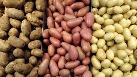 Cartofi pentru ciorbă, piure, prăjit sau de pus la cuptor. Cum îi alegi?