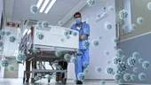 „Long-Hantavirus”? Cercetătorii analizează efectele pe termen lung ale infecției, după modelul Long Covid