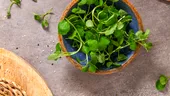 „Eroul ascuns din grădină” pe care îl poți mânca. Planta mică, dar surprinzătoare, care devine tot mai populară în bucătăriile urbane