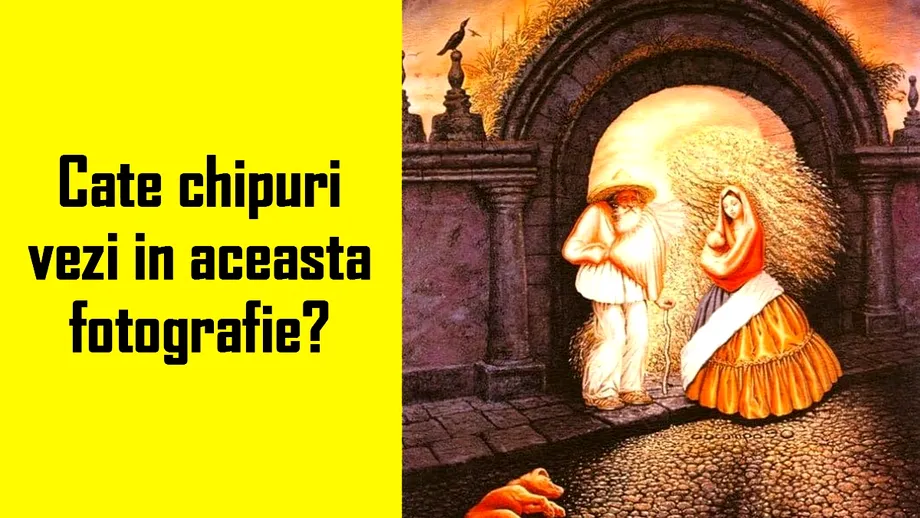 Test de inteligență pentru genii | Câte chipuri vezi în această imagine?!