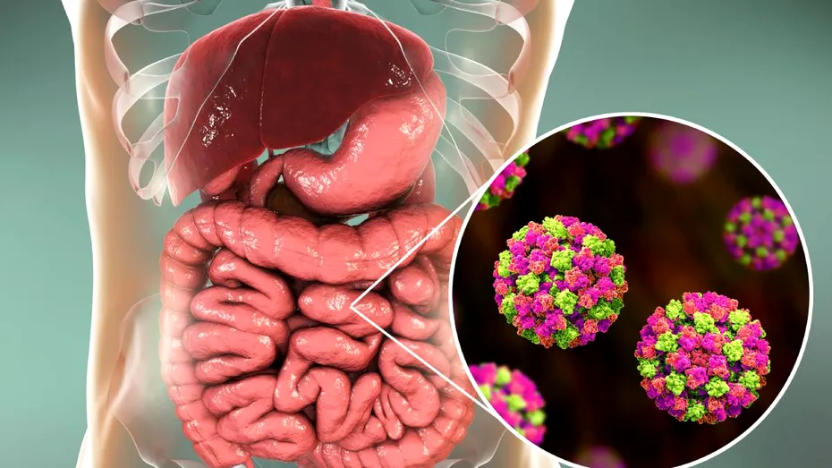 6 simptome care apar când ești infectat cu un virus „extrem de contagios”. Nu ieși din casă dacă le ai