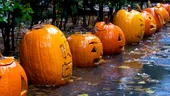 Halloween: de unde vine sărbătoarea și cum au apărut tradițiile pe care le iubim astăzi