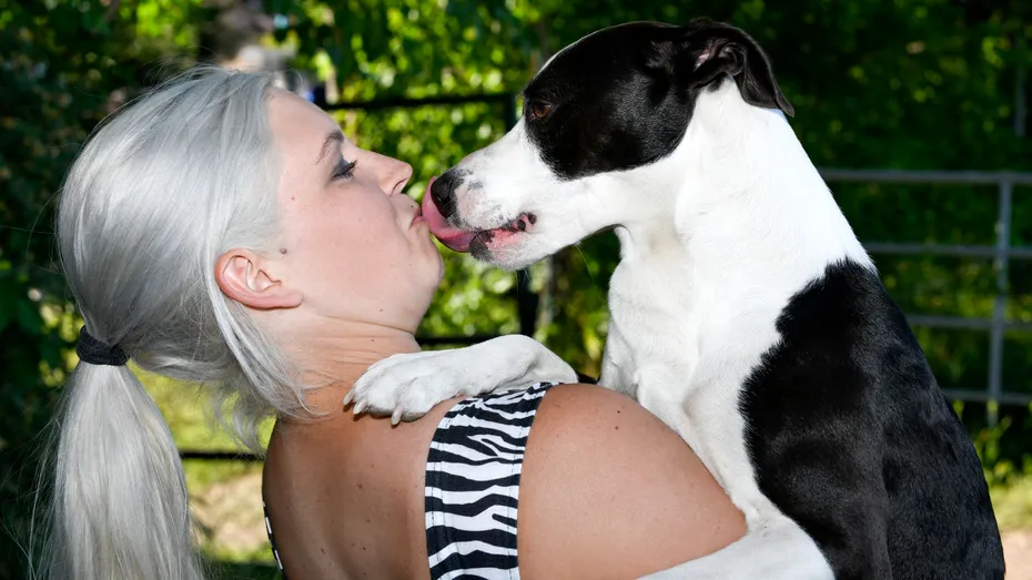 Săruturile câinelui tău sunt periculoase? Gestul adorabil al animalului tău de companie poate fi o amenințare