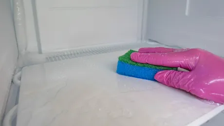 Ce se întâmplă dacă ții buretele de vase în congelator. Trucul genial al verii