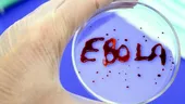 Epidemia Ebola a fost oprită?