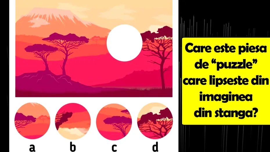 Test de inteligență | Care e piesa de 