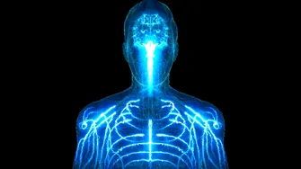 Microplasticele din corpul uman: Ce spun medicii despre riscurile pentru sănătate