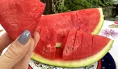 După ce dată nu mai sunt buni pepenii verzi. Care sunt cele 3 semne că pepenele este „trecut”