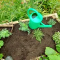 Cum îți protejezi grădina de dăunători cu o singură plantă. E un repelent natural extrem de eficient