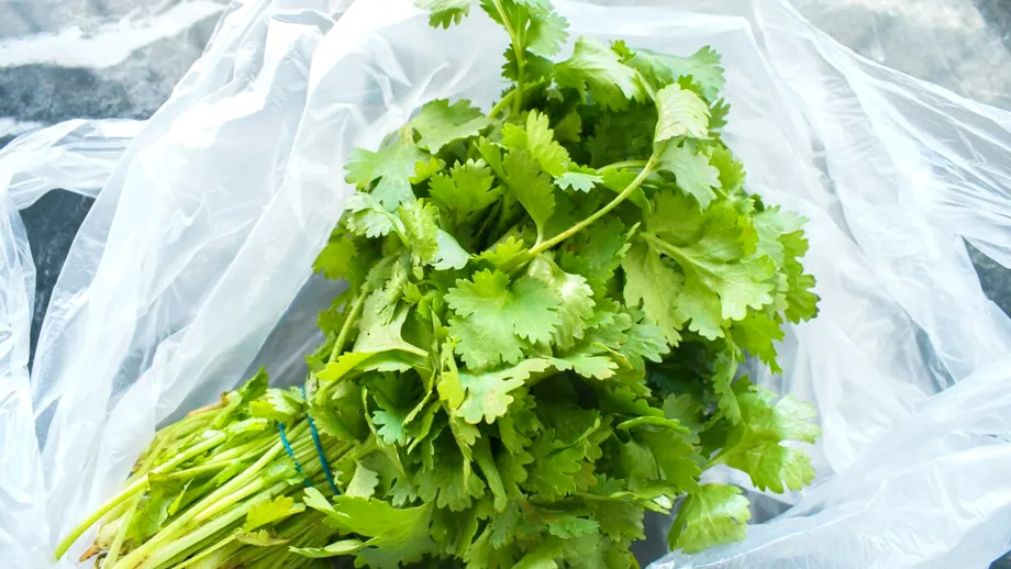 „De ce gustul de coriandru e ca săpunul pentru unii?” Explicarea fenomenului neobișnuit