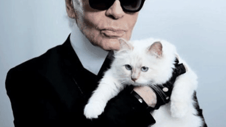 Excentricul Karl Lagerfeld plănuieşte să se însoare cu Choupette, pisica lui siameză