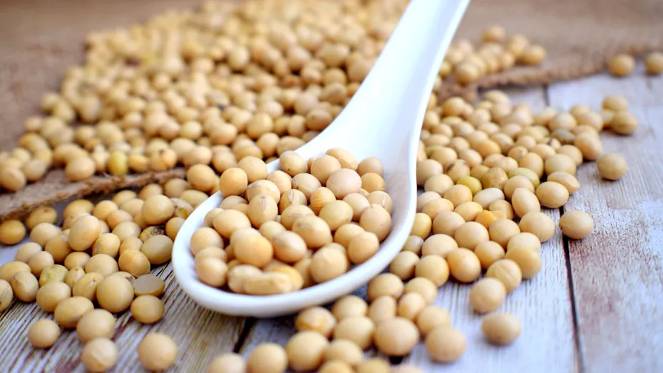 Leguma controversată care reduce semnificativ colesterolul