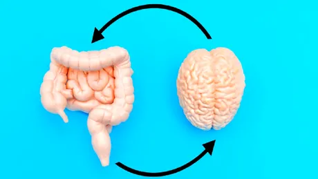 Legătura dintre intestin și sănătatea mentală