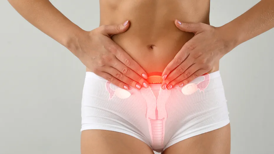 Estrogenul și apariția fibromului uterin