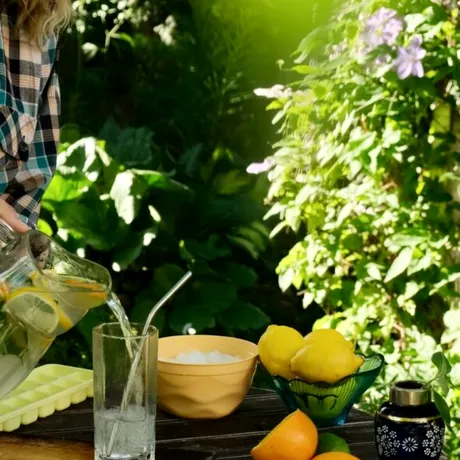 „Limonada de deparazitare” face furori pe internet. Rețeta cu plante și condimente care a devenit virală, dar medicii avertizează / VIDEO