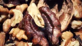 Ingredientul din cozonac care te poate strica la stomac. 3 semne prin care recunoști nucile râncezite