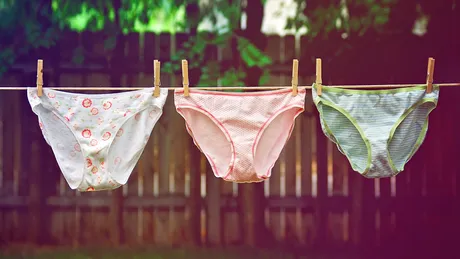 La câte grade se spală lenjeria intimă. Temperatura care distruge bacteriile