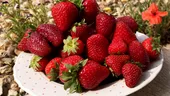 Vrei să slăbești? Iată 3 fructe de sezon cu conținut scăzut de zahăr. Cumpără-le pe cele românești!