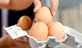 5 alimente care conțin mai mult zinc decât ouăle. Unul dintre ele este o adevărată bombă de minerale