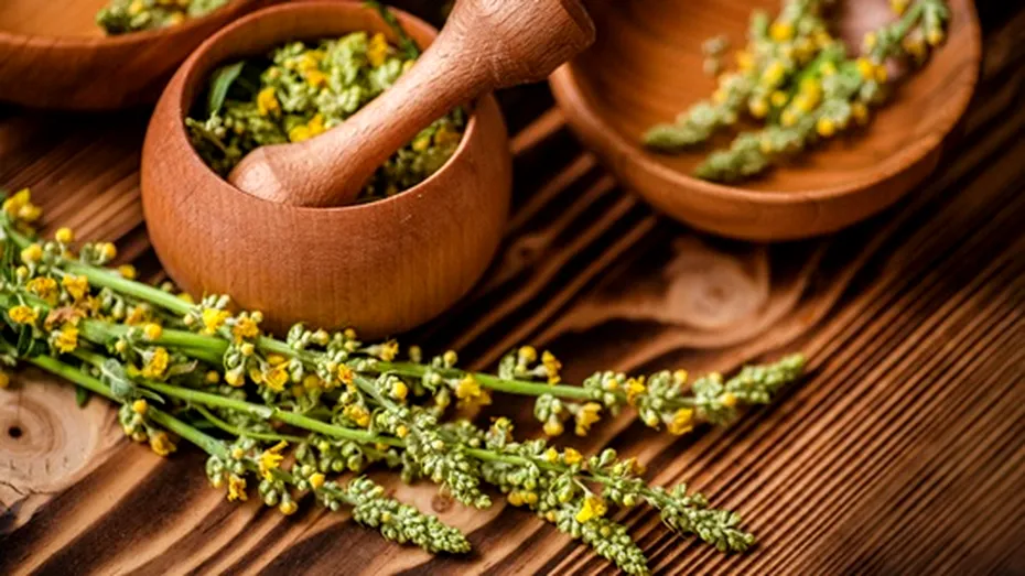 Planta amară cu efecte miraculoase pentru sănătate. Poate fi consumată sub formă de ceai, tinctură sau ulei