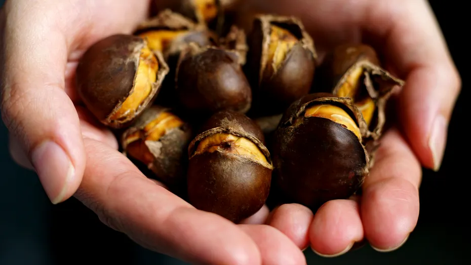 Castanele, bune și pentru diabetici. 5 beneficii ale acestor fructe lemnoase delicioase