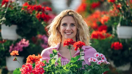 Secretul mușcatelor care înfloresc din abundență primăvara. Cum le pregătești corect pentru iernare