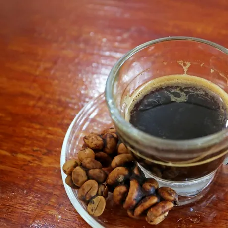 Excrementele acestui animal produc cea mai scumpă cafea din lume, care se vinde cu 100 de dolari ceașca