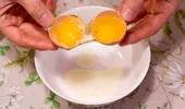 Ouăle cu două gălbenușuri – sunt sigure pentru consum? Cum recunoști un ou cu gălbenuș dublu
