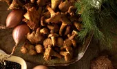 Gălbiorii – unele din cele mai delicioase şi sănătoase ciuperci