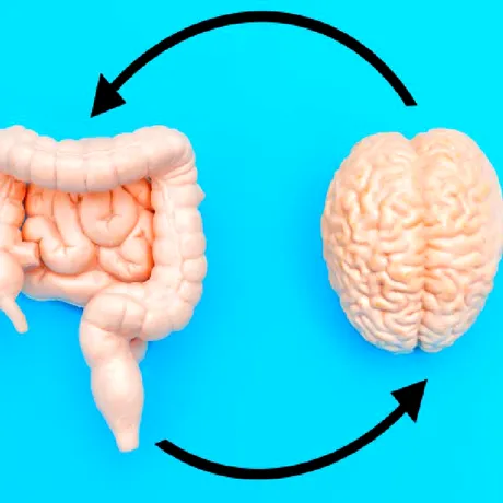 Legătura dintre intestin și sănătatea mentală