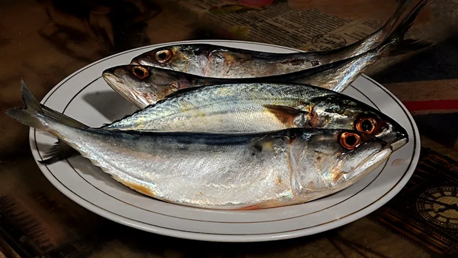 Atenție la peștele pe care îl consumați! Specii cu risc ridicat de mercur