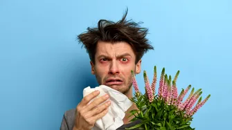 Antihistaminicele naturale care pot ameliora simptomele alergiilor sezoniere. Adio strănut, congestie nazală sau mâncărime a ochilor!