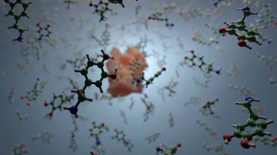 Cum crești nivelul dopaminei natural: suplimentele recomandate de un medic psihiatru