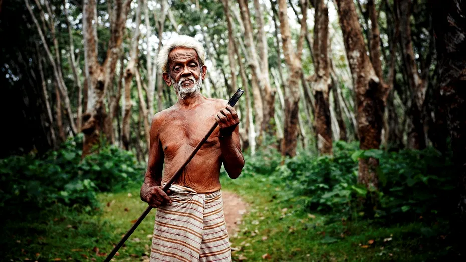 Descoperire șocantă despre Neanderthali: consumau larve în mod intenționat. Motivul îi uimește pe cercetători
