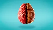 8 alimente care opresc atrofierea creierului