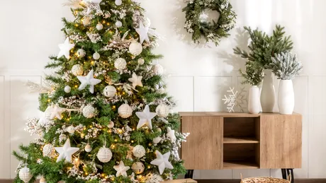 7 trucuri pentru ca bradul de Crăciun să nu se usuce repede