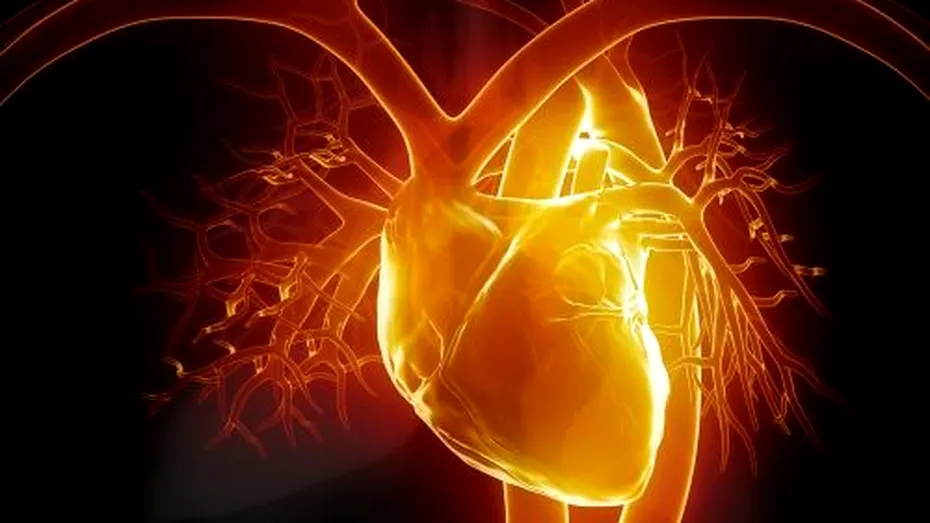 Palpitatiile cardiace: simptome, tratament