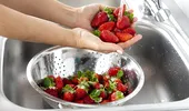 Unde trebuie depozitate căpșunile: în frigider sau la temperatura camerei, la loc umbros? Câte zile rezistă