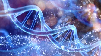 Știința confirmă că postul este un aliat real al longevității, regenerând corpul și mintea