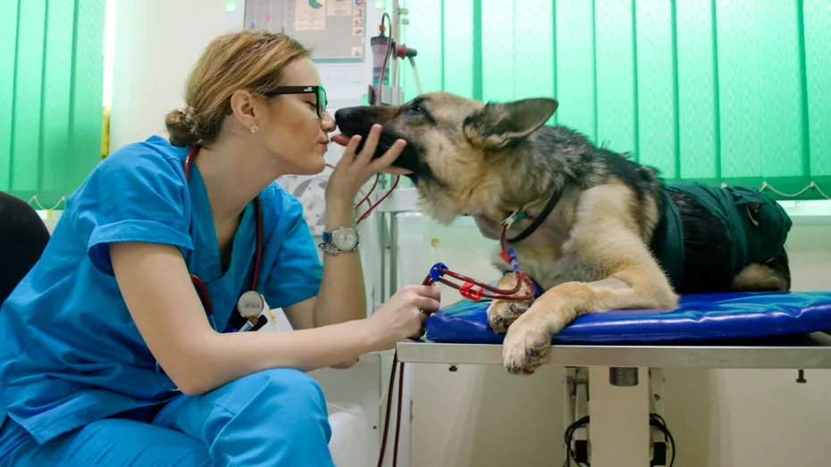 Patrupet - educație, prevenție, terapie (P)