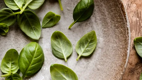 Busuiocul, planta magică plină de beneficii. Ce valori nutriționale are și cine nu trebuie să o consume