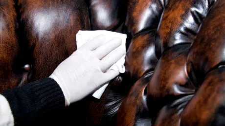 Cea mai ușoară metodă de curățare a fotoliilor din piele. Ai nevoie doar de două ingrediente din bucătărie