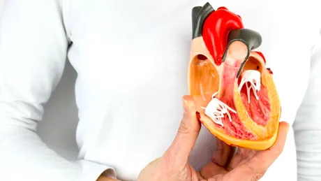 Stenoza mitrală: simptome, cauze, tratament, prevenţie