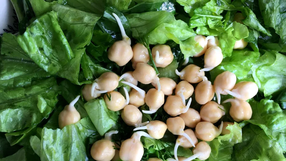 Ce să pui în salată ca să țină de foame și să nu îngrașe. 5 ingrediente cu puține calorii