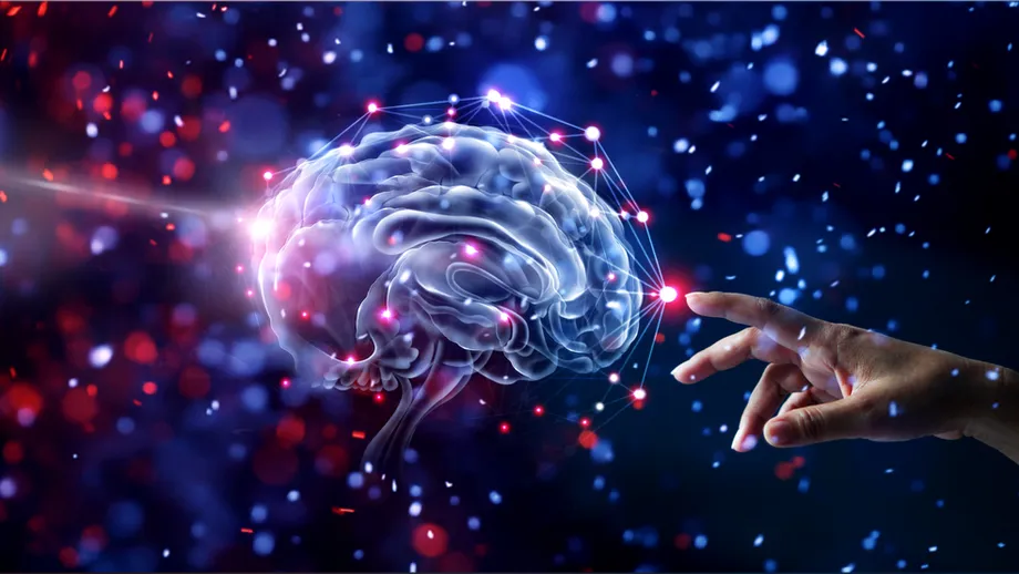 Ce trebuie să știi despre creier, „centrul de date” al organismului